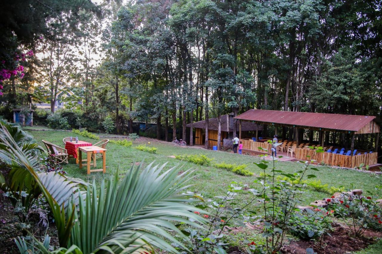 Africana Yard Kitale Dış mekan fotoğraf